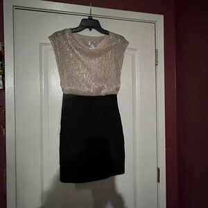 Shimmering Cream and Black Mini Dress